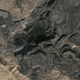 Illustration for article titled First Photos of China's 298-Million-Year-Old Buried Forest